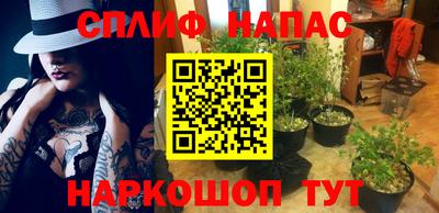 твердый Будённовск