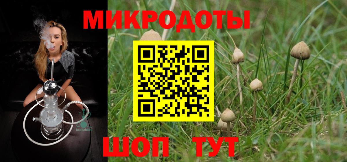 Галлюциногенные грибы GOLDEN TEACHER Кореновск