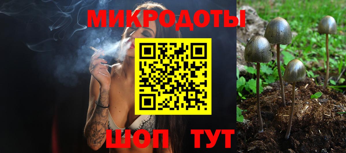 где купить наркоту  Вход с VPN  Псилоцибиновые грибы прущие грибы  Кореновск  Галлюциногенные грибы прущие грибы 